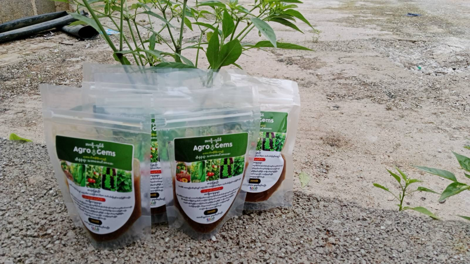 Agro-Gem (Fish Amino Acid)
